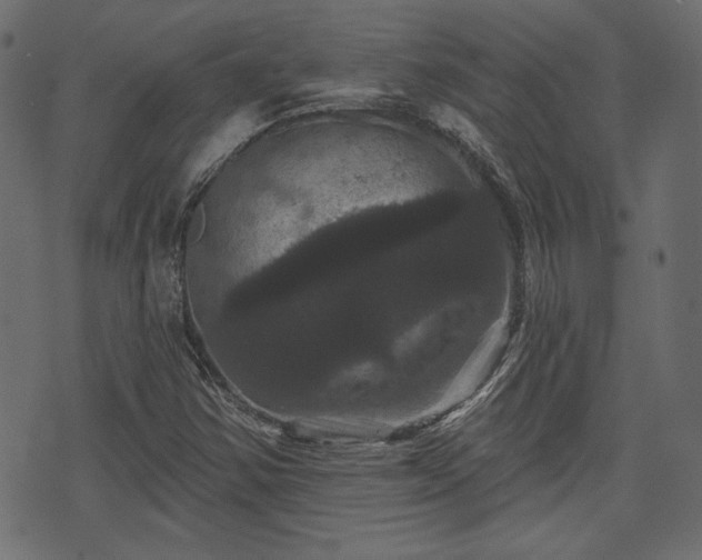 X0000070861354200606231242