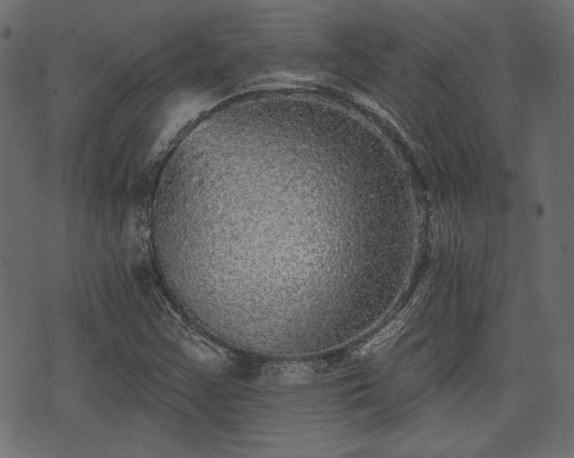 X0000070861355200606231242