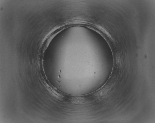 X0000070861356200606231242