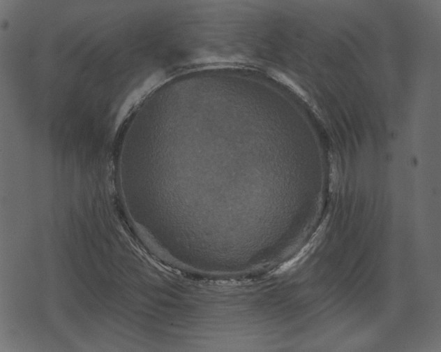 X0000070861357200606231242