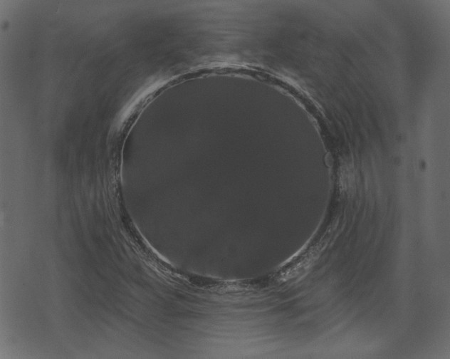 X0000070861359200606231242