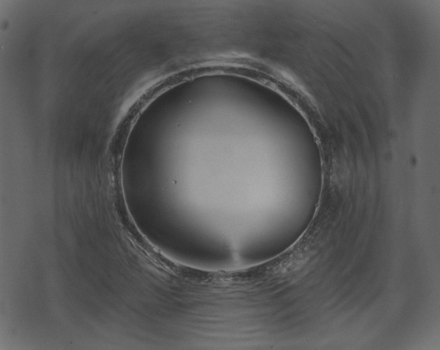 X0000070861360200606231242