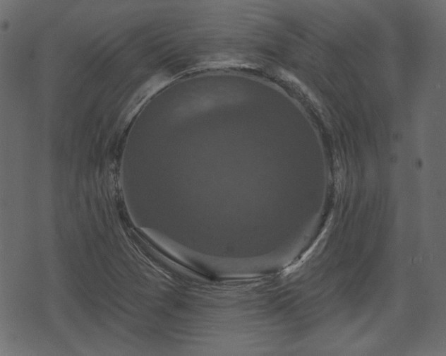 X0000070861361200606231242