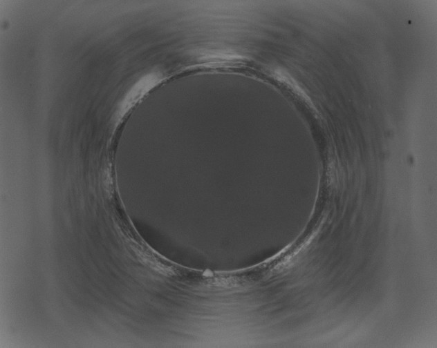 X0000070861362200606231242