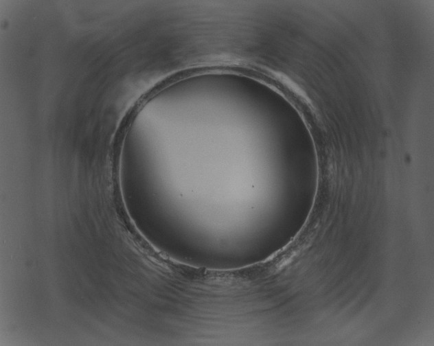 X0000070861364200606231242