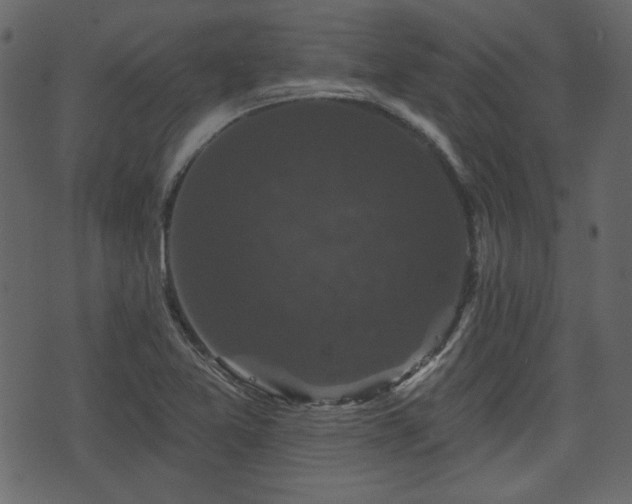 X0000070861365200606231242