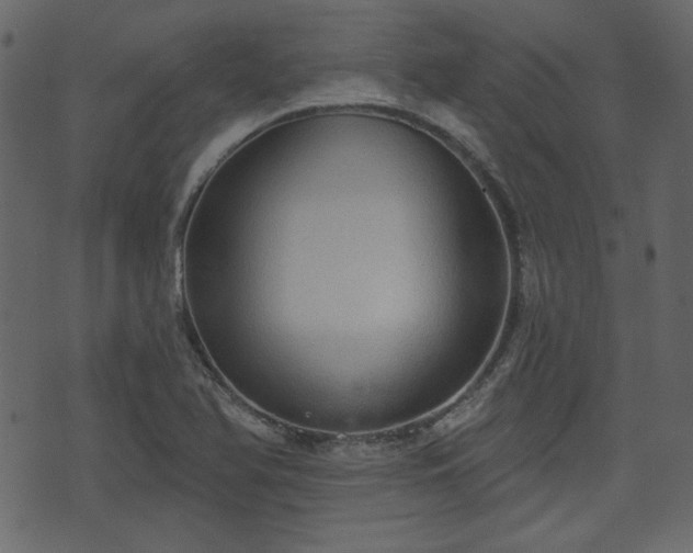 X0000070861366200606231242