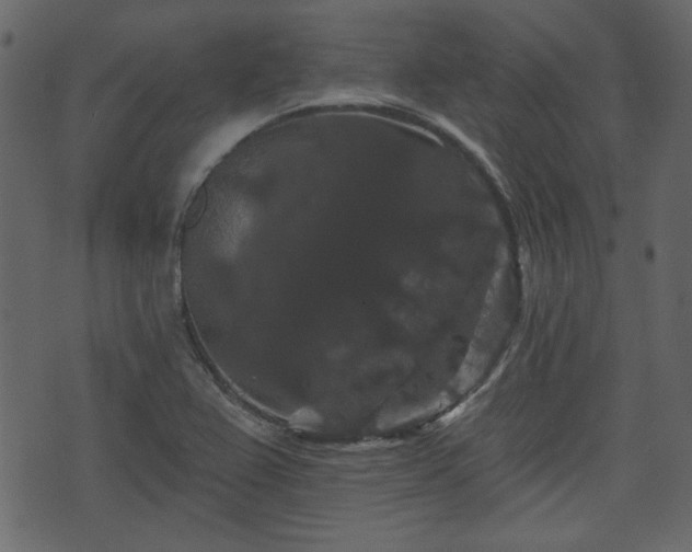 X0000070861367200606231242