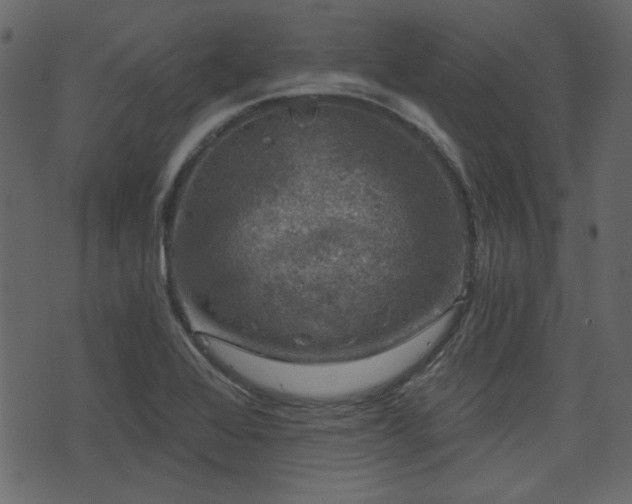 X0000070861368200606231242