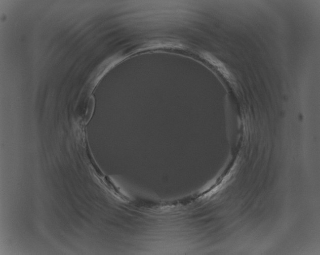 X0000070861369200606231242