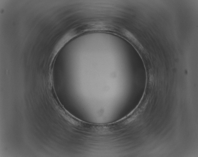 X0000070861370200606231242