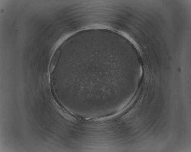 X0000070861372200606231242