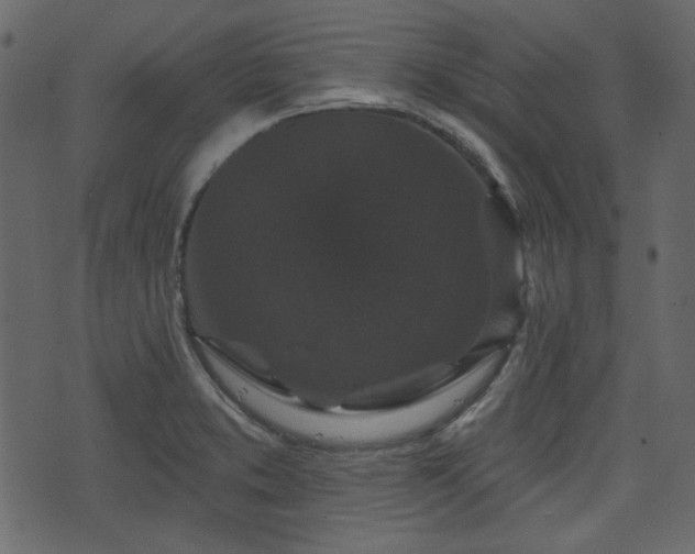 X0000070861373200606231242