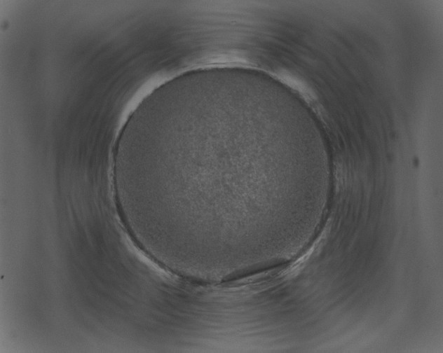 X0000070861374200606231242