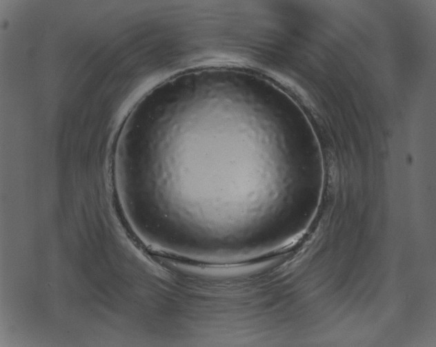 X0000070861375200606231242