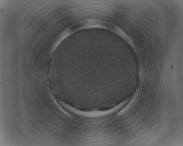 X0000070861377200606231242