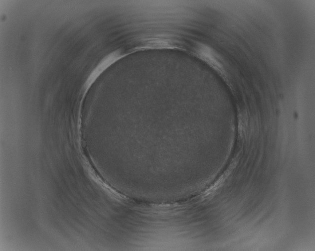 X0000070861378200606231242