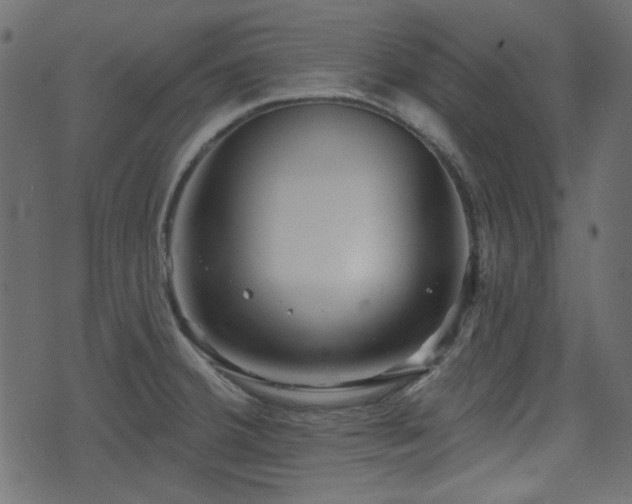 X0000070861380200606231242