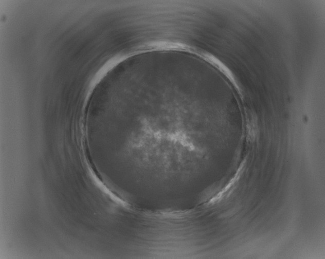 X0000070861381200606231242