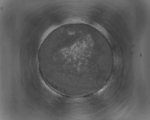 X0000070861382200606231242