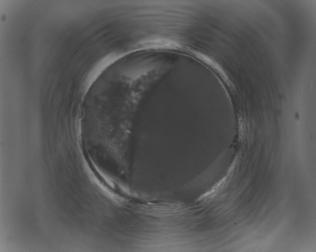 X0000070861383200606231242