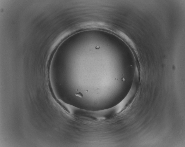 X0000070861384200606231242