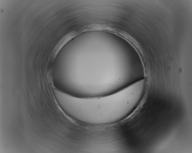 X0000070861385200606231242