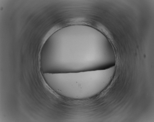 X0000070861386200606231242