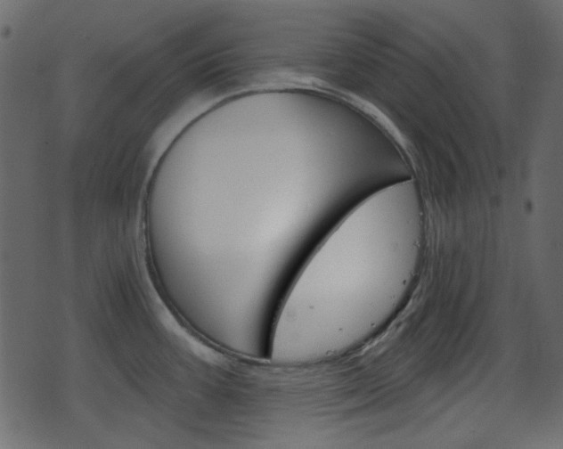 X0000070861387200606231242