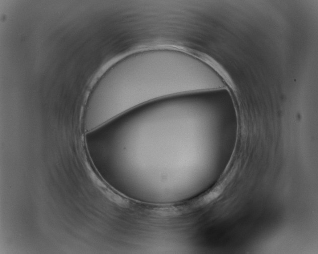 X0000070861388200606231242