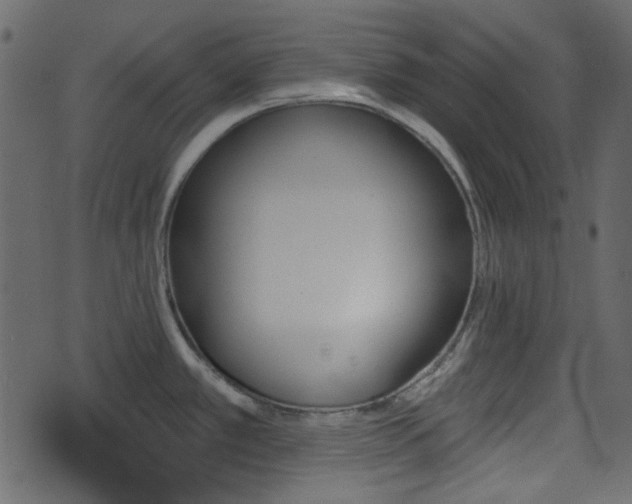 X0000070861389200606231242