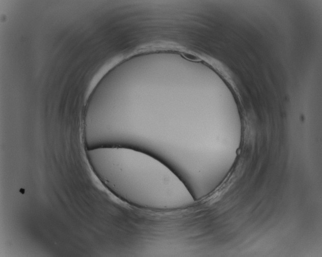 X0000070861390200606231242