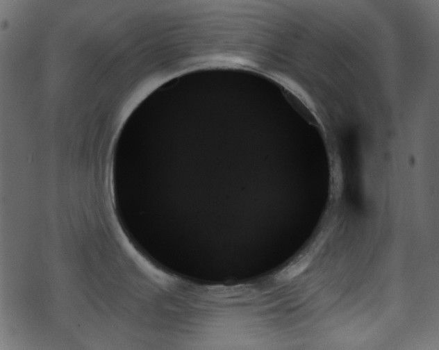 X0000070861391200606231242