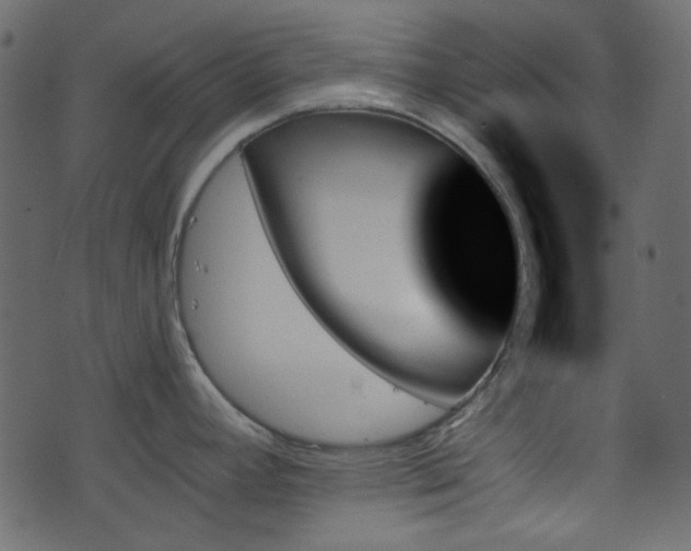 X0000070861392200606231242