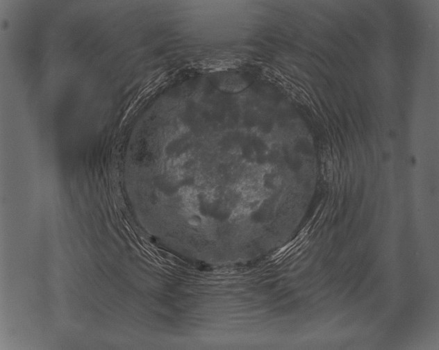 X0000070861393200606231241