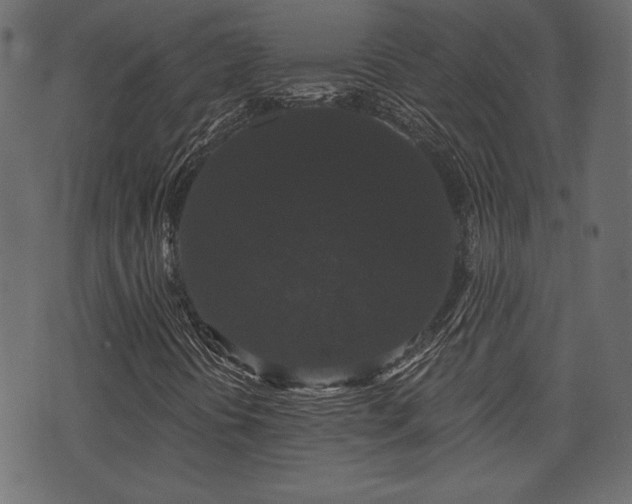 X0000070861394200606231241