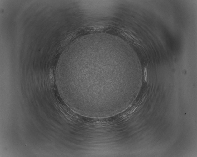 X0000070861395200606231241