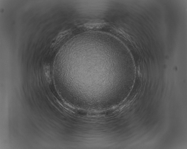 X0000070861396200606231241