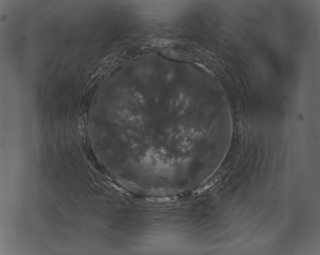 X0000070861397200606231241