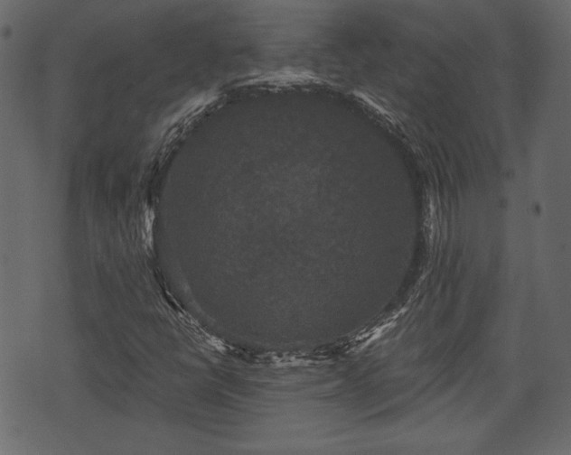 X0000070861398200606231241