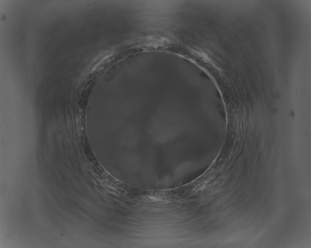 X0000070861399200606231241