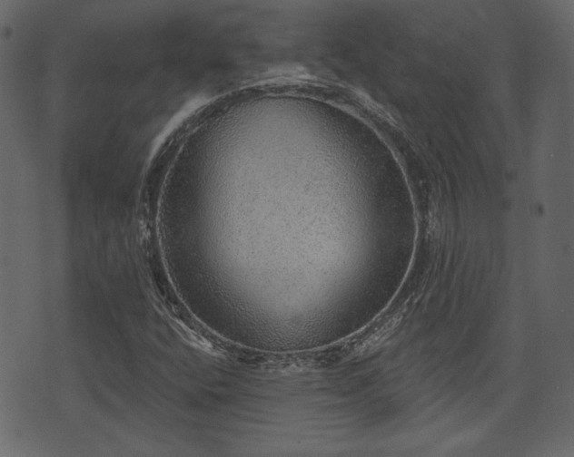 X0000070861400200606231241