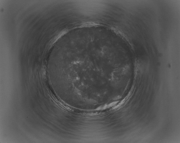 X0000070861401200606231241