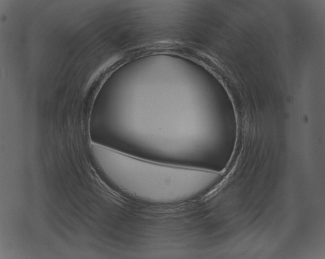 X0000070861402200606231241