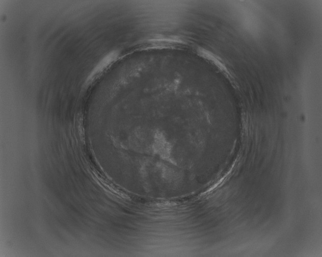 X0000070861403200606231241