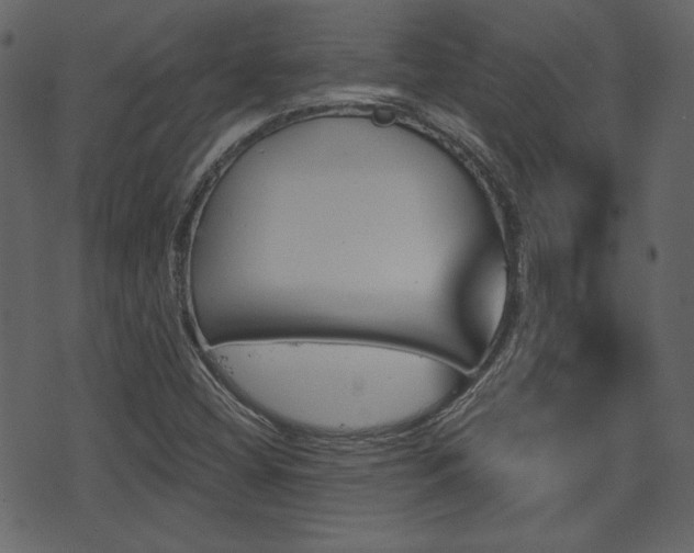 X0000070861404200606231241