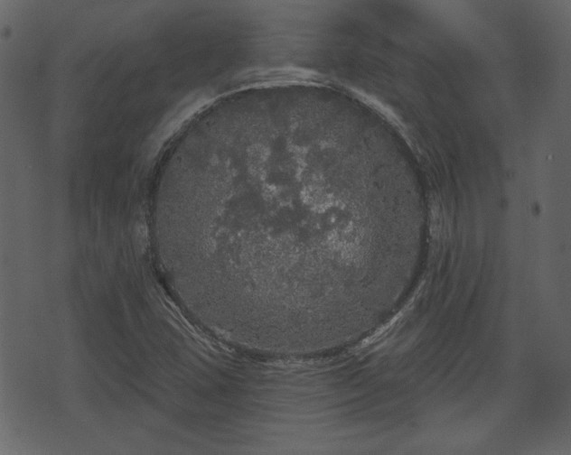 X0000070861407200606231241