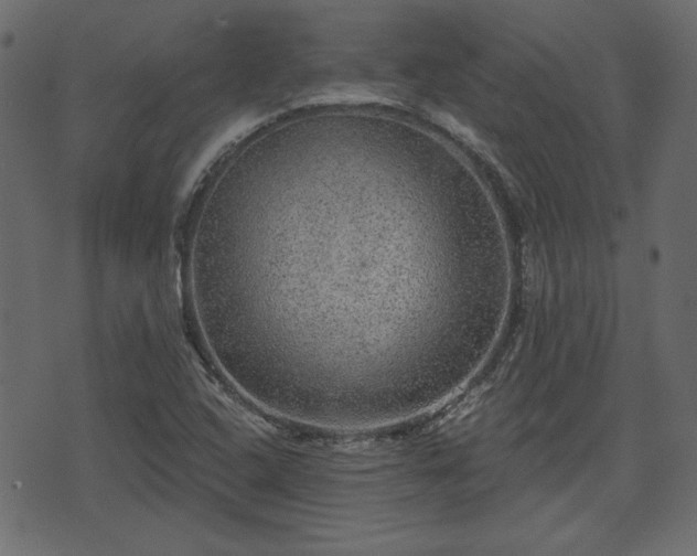 X0000070861408200606231241