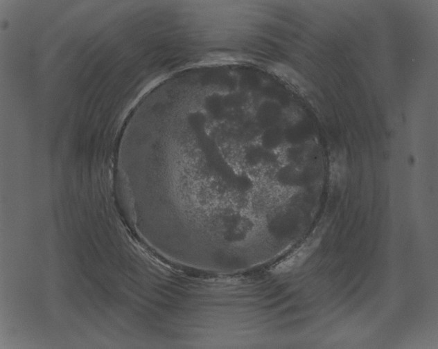 X0000070861409200606231241