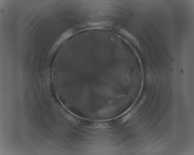 X0000070861411200606231241